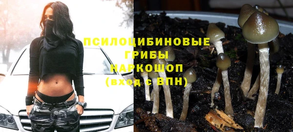 меф Дмитров