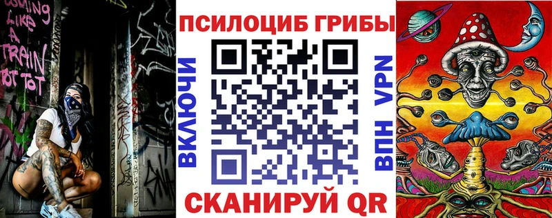 нарко площадка клад Кисловодск Галлюциногенные грибы Magic Shrooms